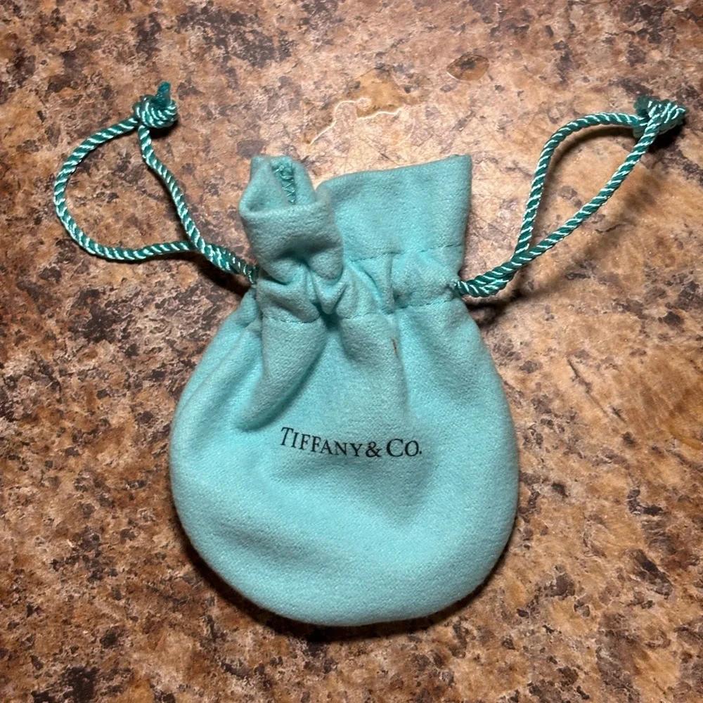 Tiffany & Co. Turquoise Jewelry Pouch - Picture 4 of 5